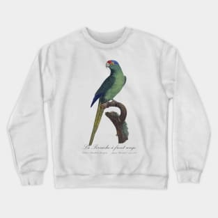 La Perruche a Front Rouge Parakeet - Jacques Barraband 19th century Illustration Crewneck Sweatshirt